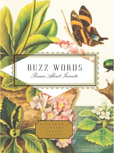 Produktbild: Buzz Words