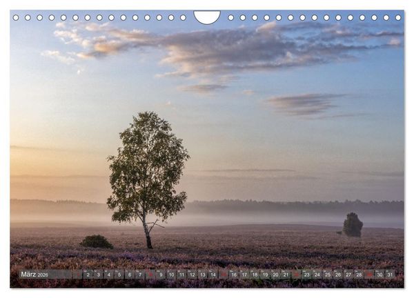 Produktbild: Die L&uuml;neburger Heide - In voller Bl&uuml;te (Wandkalender 2026 DIN A4 quer), CALVENDO Monatskalender