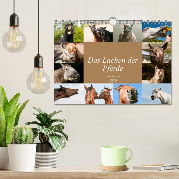 Produktbild: Das Lachen der Pferde - Lustige Gesichter (Wandkalender 2026 DIN A4 quer), CALVENDO Monatskalender