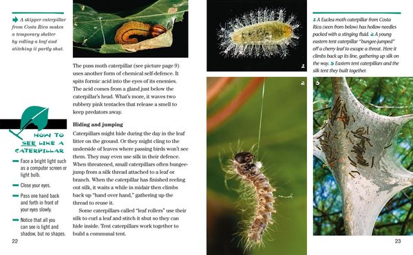 Produktbild: Nat Geo Reader Caterpillars