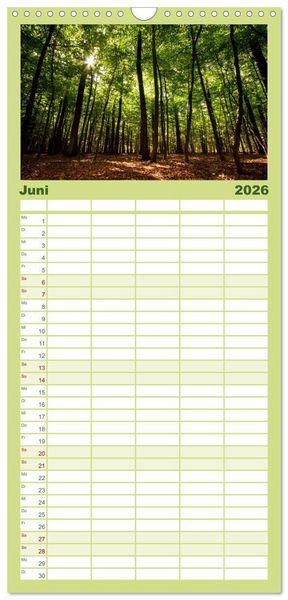Produktbild: Familienplaner 2026 - Wald mit 5 Spalten (Wandkalender, 21 x 45 cm) CALVENDO