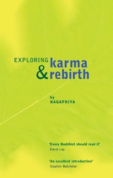 Produktbild: Exploring Karma and Rebirth