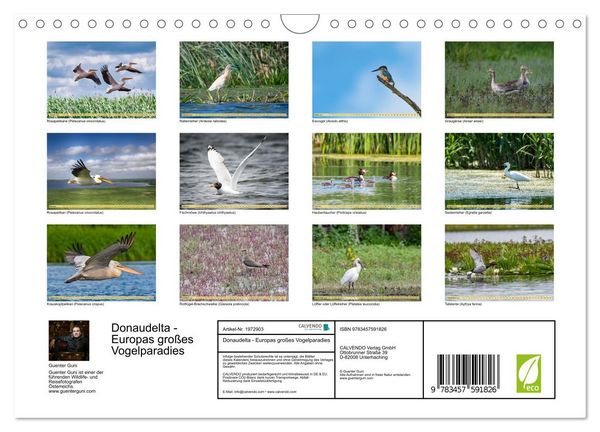 Produktbild: Donaudelta - Europas gro&szlig;es Vogelparadies (Wandkalender 2026 DIN A4 quer), CALVENDO Monatskalender