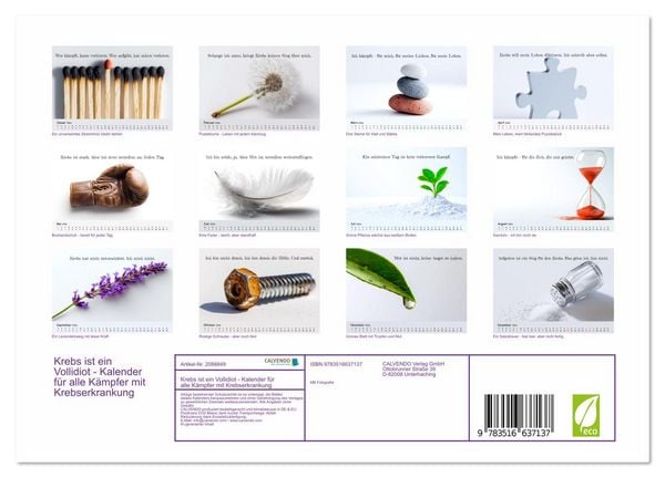 Produktbild: Krebs ist ein Vollidiot - Kalender f&uuml;r alle K&auml;mpfer mit Krebserkrankung (Wandkalender 2026 DIN A4 quer), CALVENDO Monatskalender
