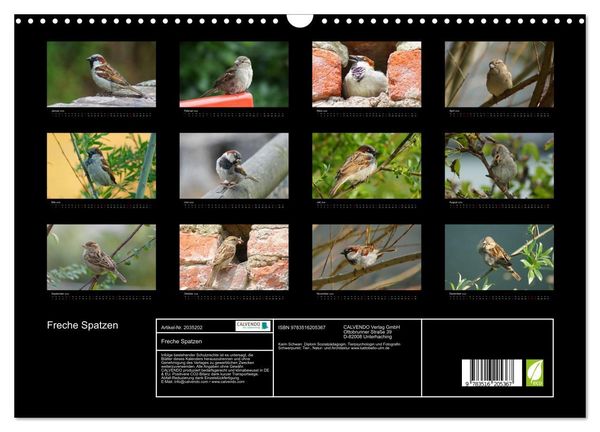 Produktbild: Freche Spatzen (Wandkalender 2026 DIN A3 quer), CALVENDO Monatskalender
