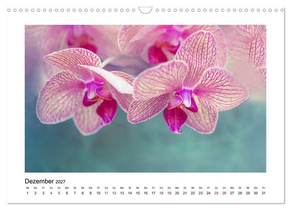 Produktbild: Rosa Bl&uuml;tentraum (Wandkalender 2027 DIN A3 quer), CALVENDO Monatskalender