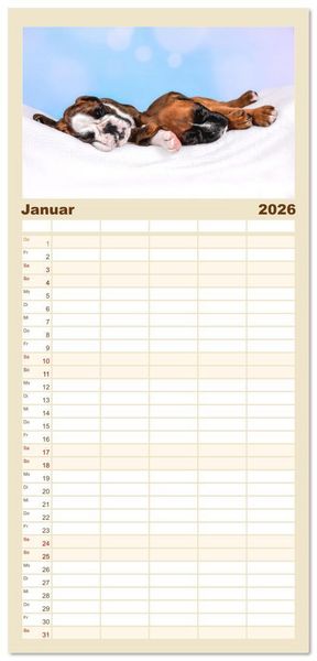 Produktbild: Familienplaner 2026 - Boxer Welpen einfach zuckers&uuml;&szlig; mit 5 Spalten (Wandkalender, 21 x 45 cm) CALVENDO