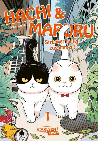 Produktbild: Hachi & Maruru - Streuner halten zusammen! 1
