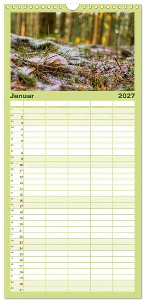 Produktbild: Familienplaner 2027 - Vielfalt am Waldboden mit 5 Spalten (Wandkalender, 21 x 45 cm) CALVENDO