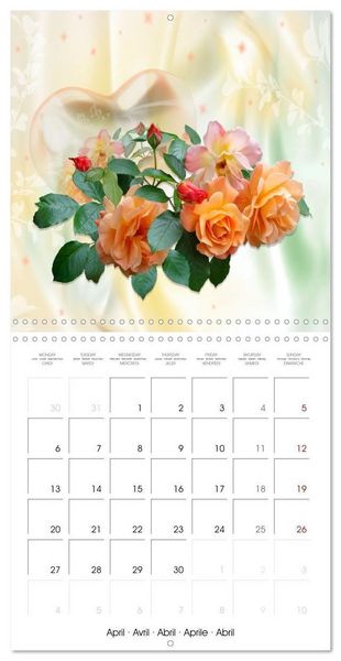 Produktbild: Sheer joy (Wall Calendar 2026 12 &times; 12 Inch) CALVENDO 12 Month Wall Calendar