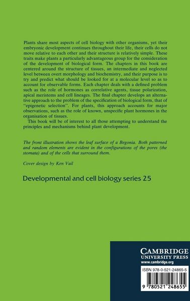 Produktbild: Pattern Formation in Plant Tis