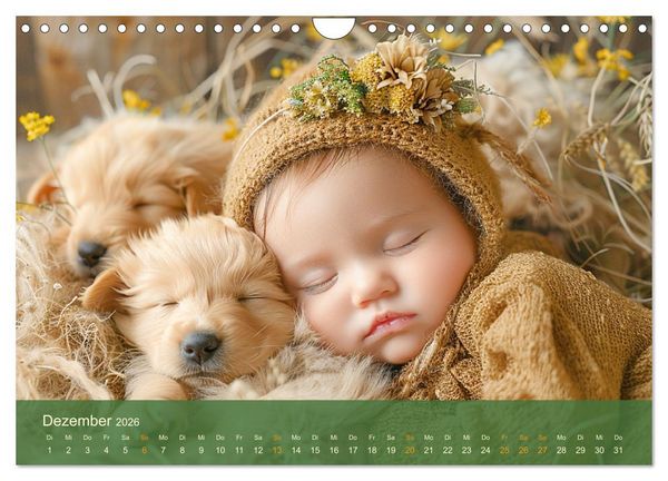 Produktbild: Zauberhafte Babys. S&uuml;&szlig;e Momente mit niedlichen Tieren (Wandkalender 2026 DIN A4 quer), CALVENDO Monatskalender