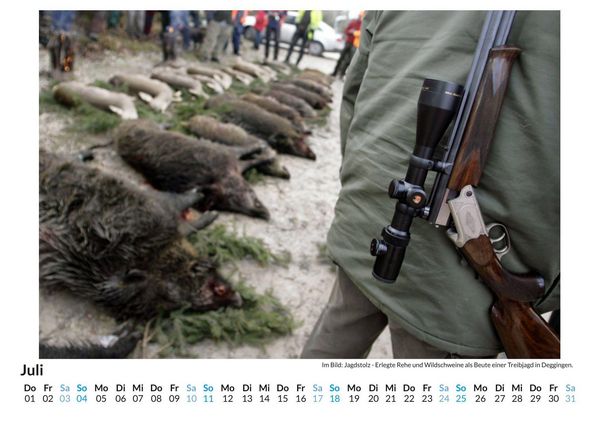 Produktbild: Jagd auf Wildschweine