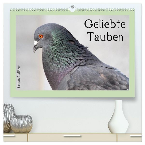 Produktbild: Geliebte Tauben (hochwertiger Premium Wandkalender 2026 DIN A2 quer), Kunstdruck in Hochglanz