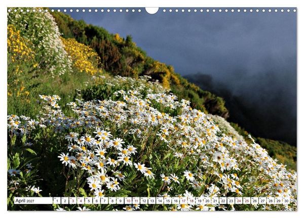 Produktbild: Bl&uuml;tenzauber auf Madeira. Wildblumen und Ziergew&auml;chse (Wandkalender 2027 DIN A3 quer), CALVENDO Monatskalender