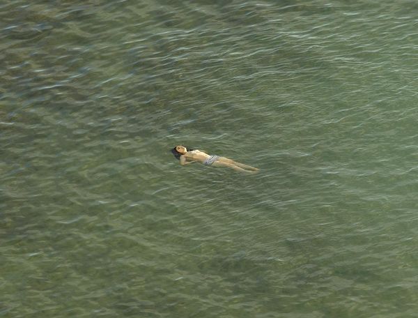 Produktbild: Richard Misrach: The Mysterious Opacity of Other Beings (Signed Edition)