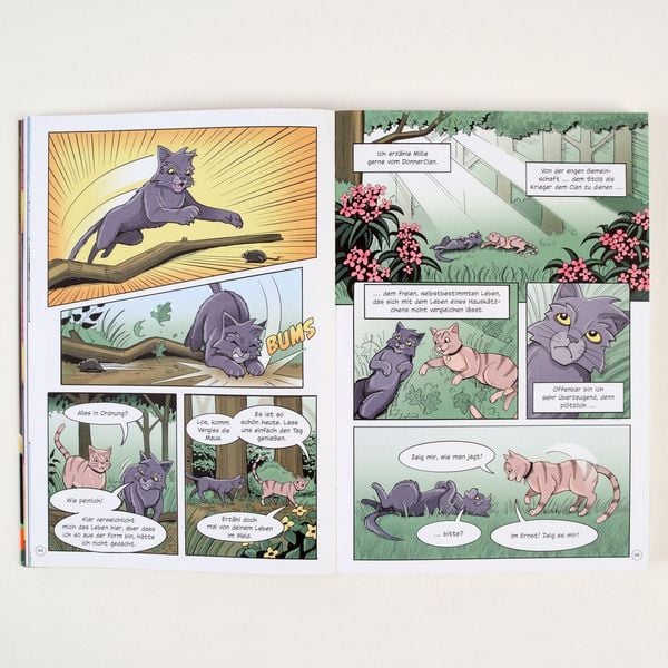 Produktbild: Warrior Cats - Graustreifs Weg zur&uuml;ck