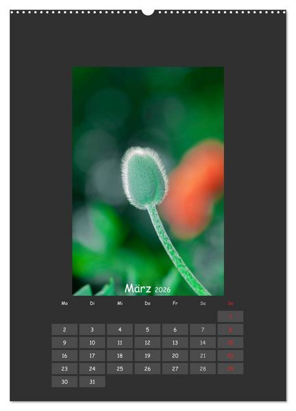 Produktbild: Mohn (Wandkalender 2026 DIN A2 hoch), CALVENDO Monatskalender