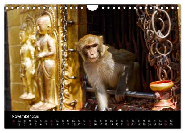 Produktbild: Nepal-Das Kathmandu-Tal nach dem Beben (Wandkalender 2026 DIN A4 quer), CALVENDO Monatskalender