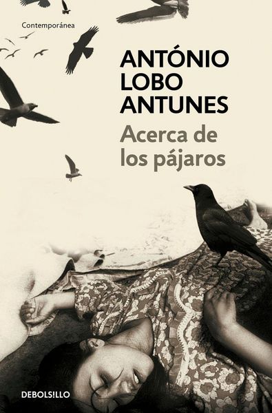 Produktbild: Acerca de los p&aacute;jaros