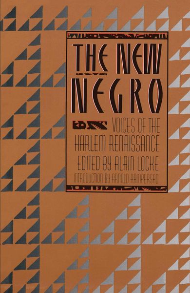 Produktbild: The New Negro