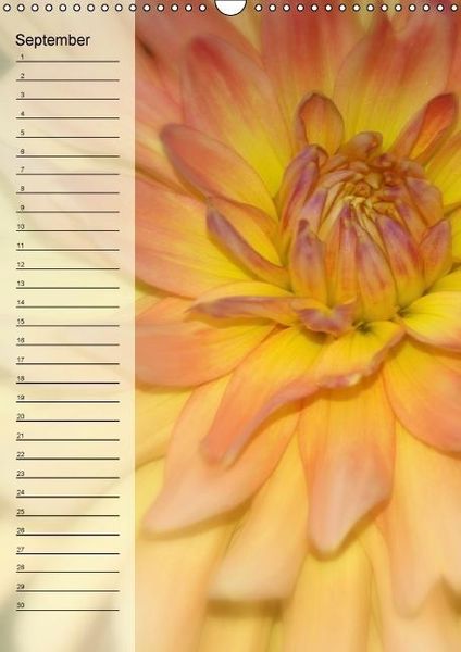 Produktbild: Immerw&auml;hrender Geburtstagskalender - Bl&uuml;tentr&auml;ume (Wandkalender immerw&auml;hrend DIN A3 hoch)