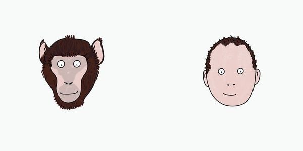 Produktbild: BiBiBiber hat da mal 'ne Frage. Warum k&ouml;nnen Babys nix? Leben & Tiere