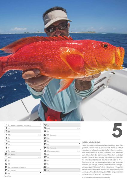 Produktbild: Der große Angelkalender 2026 - Bildkalender A3 (29,7x42 cm) - mit vielen Zusatzinformationen aus der Anglerwelt und Platz für Notizen - Wandkalender