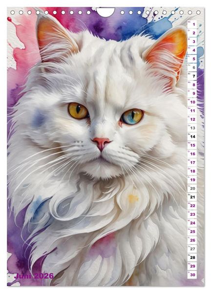Produktbild: KATZENKALENDER - Aquarell Katzenportraits f&uuml;r Katzenliebhaber (Wandkalender 2026 DIN A4 hoch), CALVENDO Monatskalender