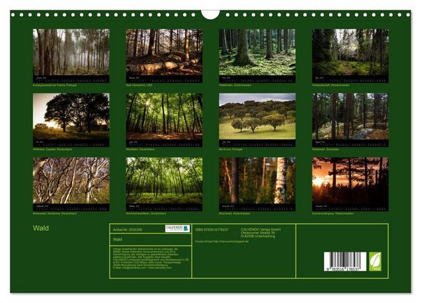 Produktbild: Wald (Wandkalender 2026 DIN A3 quer), CALVENDO Monatskalender