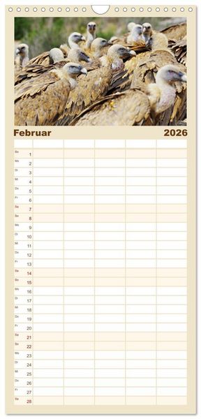 Produktbild: Familienplaner 2026 - Geier - die Gesundheitspolizei! mit 5 Spalten (Wandkalender, 21 x 45 cm) CALVENDO