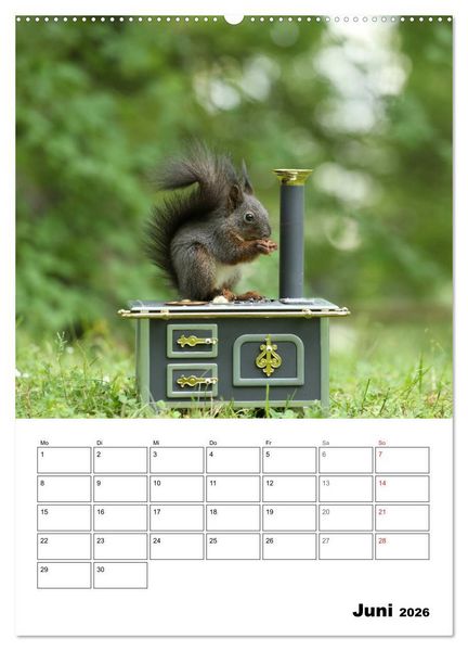 Produktbild: Die kleine Welt der Eichh&ouml;rnchen in Regensburg (hochwertiger Premium Wandkalender 2026 DIN A2 hoch), Kunstdruck in Hochglanz
