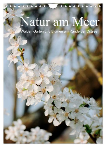 "Natur am Meer Wälder, Gärten und Blumen am Rande der Ostsee