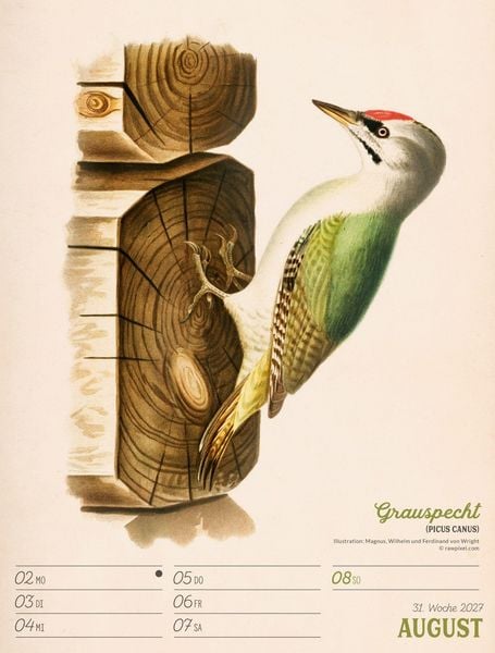 Produktbild: Wunderbare Vogelwelt Wochenplaner Kalender 2027