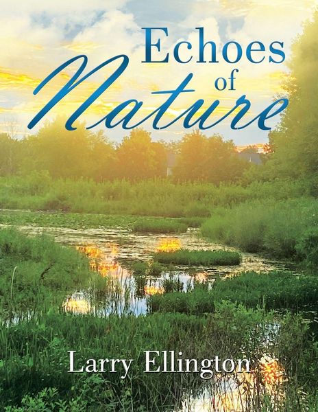 Produktbild: Echoes of Nature