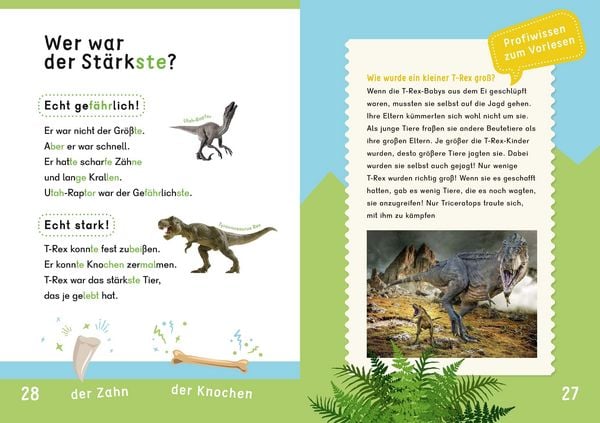 Produktbild: Dein Lesestart: Wei&szlig;t du schon alles &uuml;ber Dinos? Ab 1. Klasse