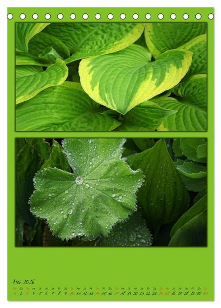 Produktbild: Farbtupferl der Natur (Tischkalender 2026 DIN A5 hoch), CALVENDO Monatskalender