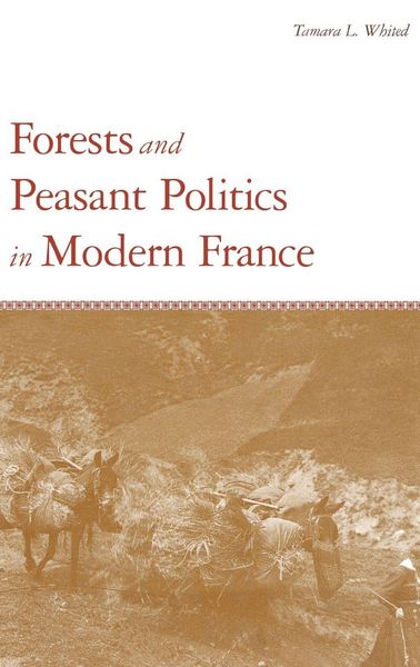 Produktbild: Forests and Peasant Politics in Modern France