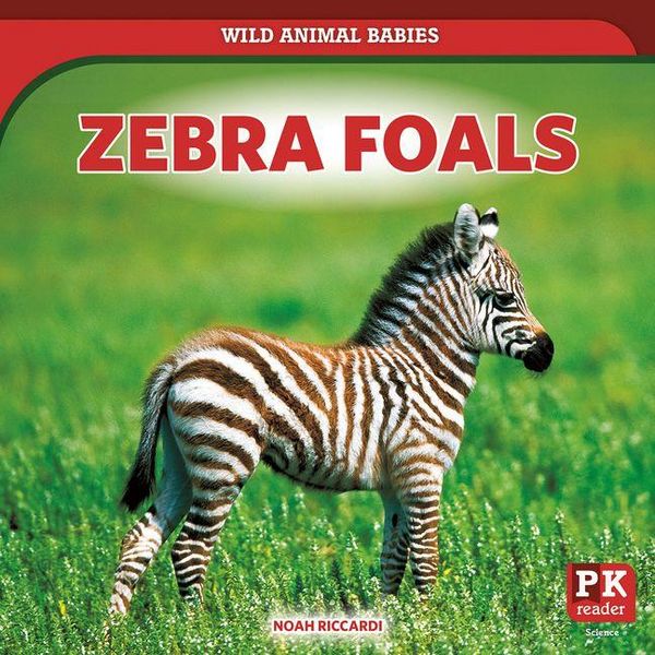 Produktbild: Zebra Foals