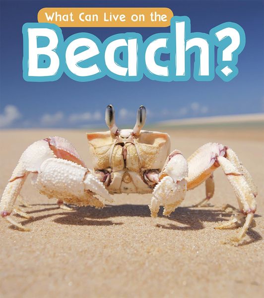 Produktbild: What Can Live at the Beach?