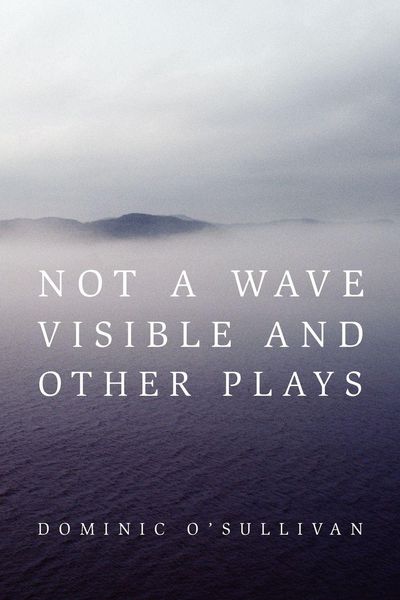 Produktbild: Not a Wave Visible and other plays
