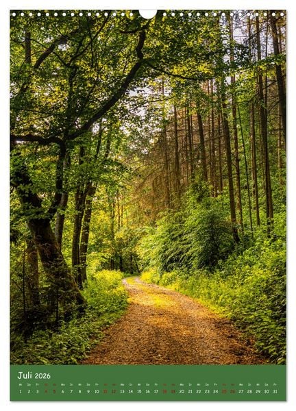 Produktbild: Ich bin dann mal im Wald (Wandkalender 2026 DIN A3 hoch), CALVENDO Monatskalender