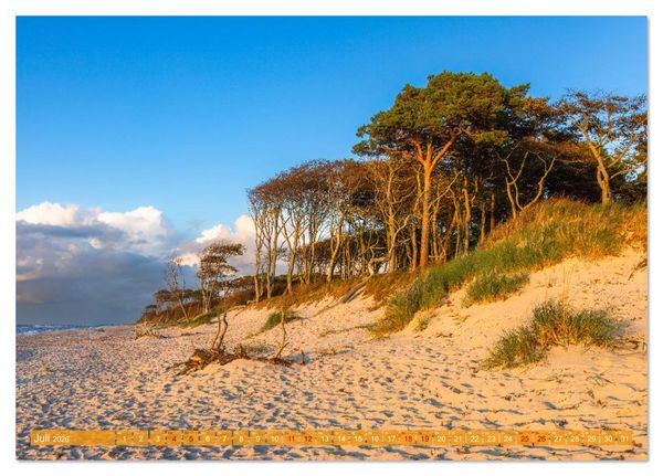 Produktbild: Fischland-Dar&szlig;-Zingst Impressionen einer Halbinsel (Tischkalender 2026 DIN A5 quer), CALVENDO Monatskalender