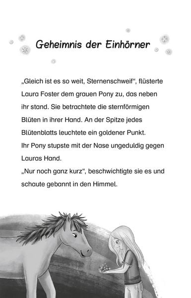 Produktbild: Sternenschweif 2: Sprung in die Nacht