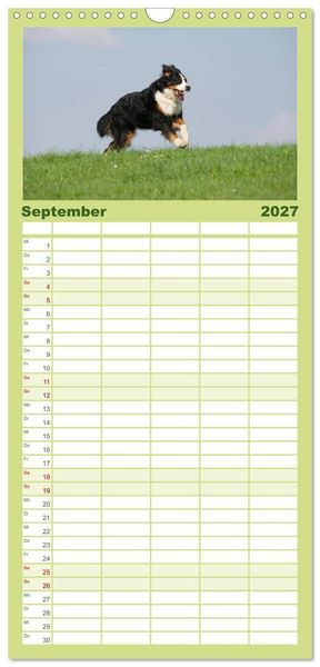 Produktbild: Familienplaner 2027 - Berner Sennenhunde mit 5 Spalten (Wandkalender, 21 x 45 cm) CALVENDO