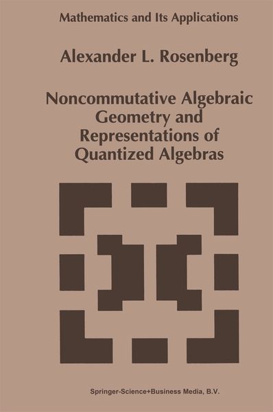 Produktbild: Noncommutative Algebraic Geometry and Representations of Quantized Algebras