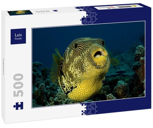 Produktbild: Lais Puzzle Kugelfisch 500 Teile