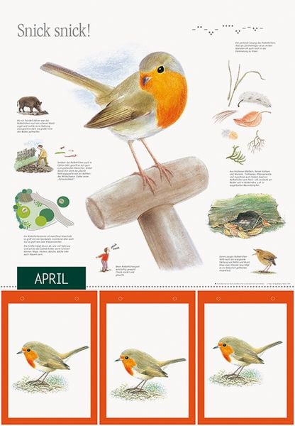 Produktbild: Natur erleben durch das Jahr - 1
