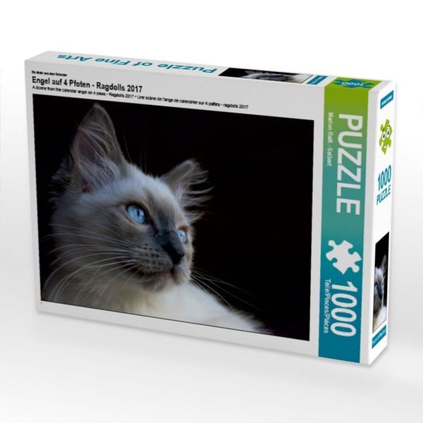 CALVENDO Puzzle Ein Motiv aus dem Kalender Engel auf 4 Pfoten - Ragdolls 2017 | 1000 Teile Lege-Größe 64x48cm Foto-Puzzle für glückliche Stunden