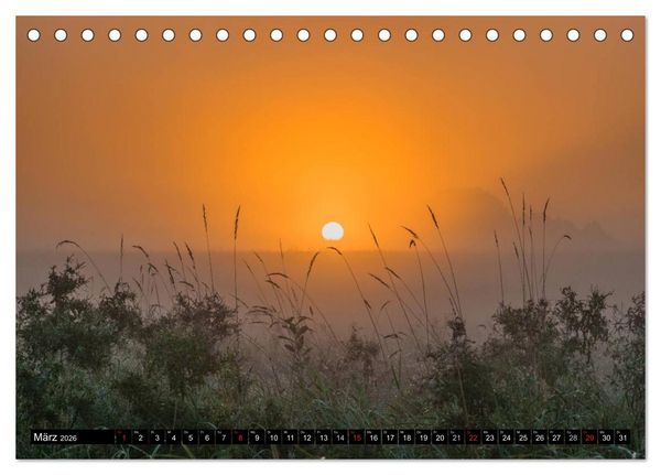 Produktbild: Immer wieder Sonnenschein (Tischkalender 2026 DIN A5 quer), CALVENDO Monatskalender
